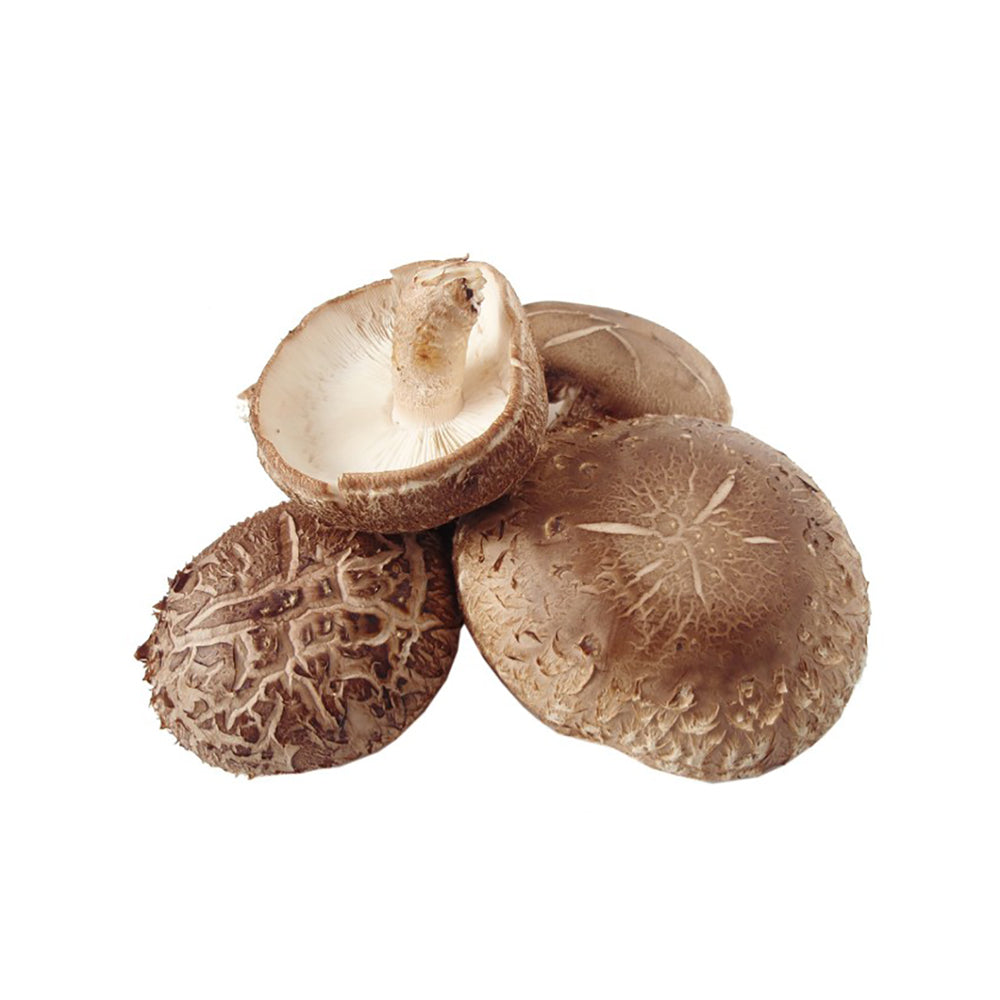 Lencse (shitake). 50g